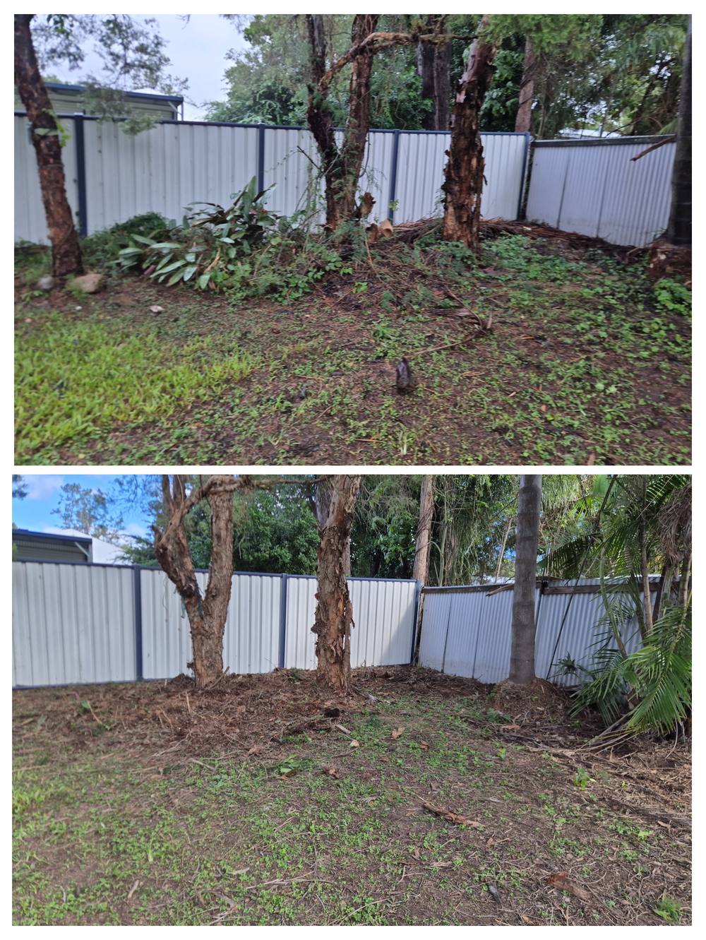 Before and after clearing green waste and undergrowth in Ipswich