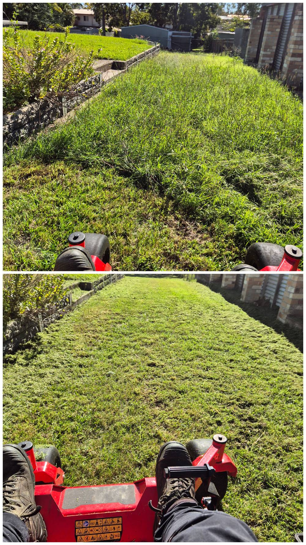 Before and after mowing an overgrown side yard strip in Ipswich