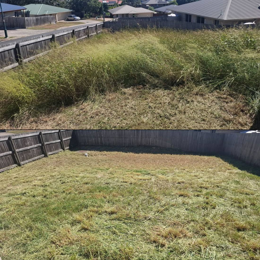 Before and after clearing a badly overgrown Ipswich backyard