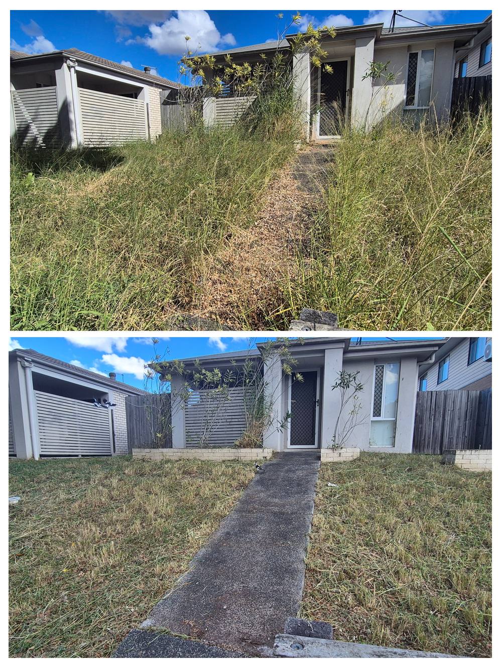 Before and after clean-up of an overgrown Ipswich front entry