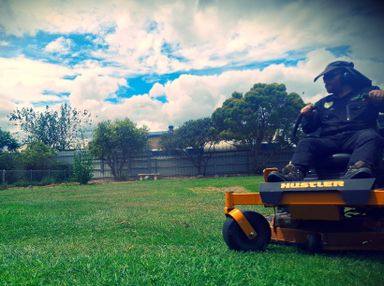 Commercial ride-on mower used across Ipswich properties